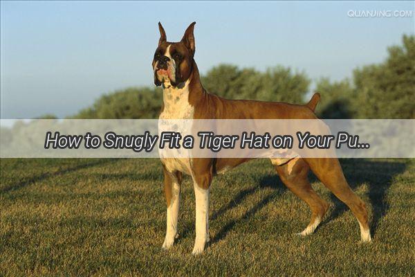 How to Snugly Fit a Tiger Hat on Your Pup A Stylish Guide for Furry Fashion Enthusiasts